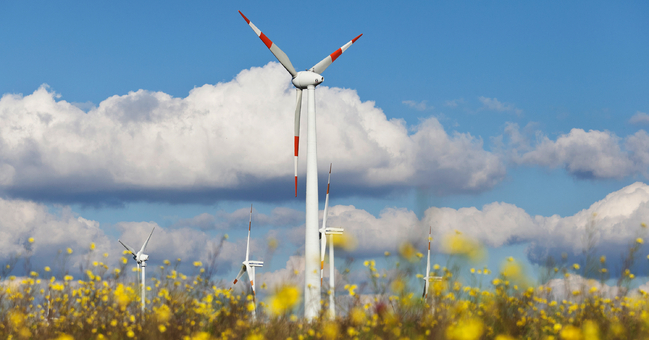 Der gesamte Windpark Egeln (Sachsen-Anhalt) versorgt etwa 60.000 Haushalte mit Strom. 