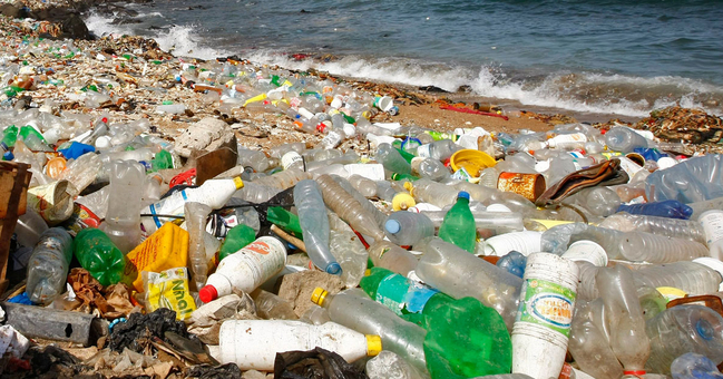 Plastikfalschen aus dem Meer liegen am Strand