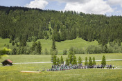 Medienvertreter auf der Pressetribüne für das Familienfoto der G7 Staats- und Regierungschefs. 