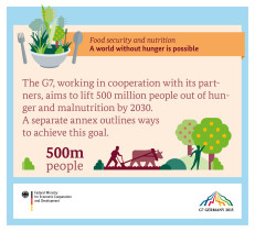 Food security and nutrition: A world without hunger is possible